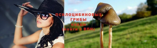 a pvp Белокуриха