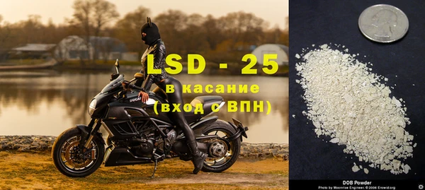 spice Беломорск