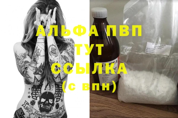 spice Беломорск