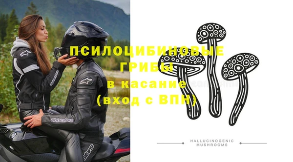 a pvp Белокуриха